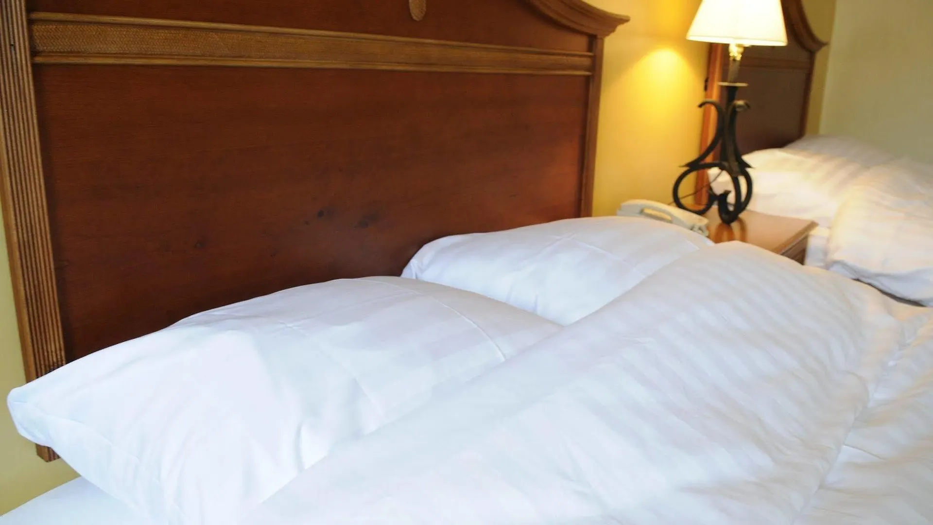 E M City Hotel Willemstad 3*,  Curacao